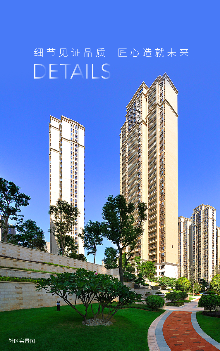 细节见证品质实景图